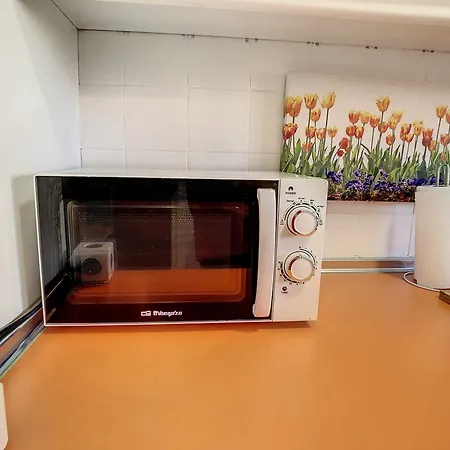 Apartment Puerto